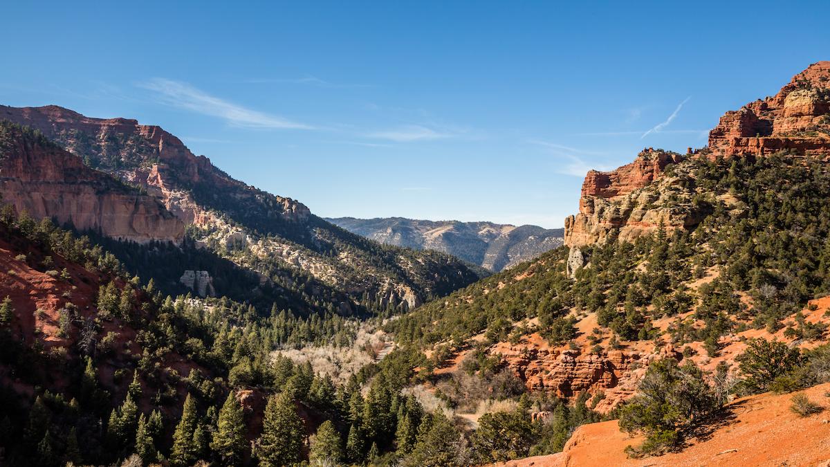 Nearby many canyons like this with red rock cliffs